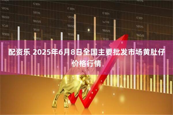 配资乐 2025年6月8日全国主要批发市场黄肚仔价格行情