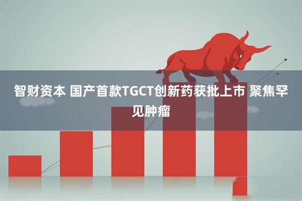 智财资本 国产首款TGCT创新药获批上市 聚焦罕见肿瘤